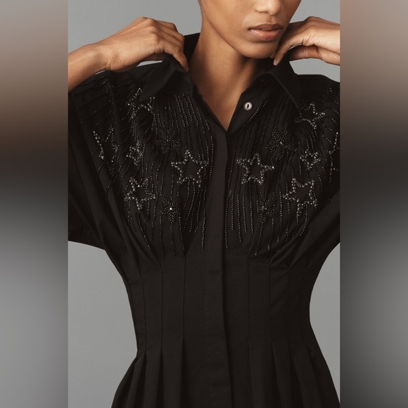 The Tobie Button-Front Pleated Shirt Dress: Embellished Edition - Picture 3 of 8